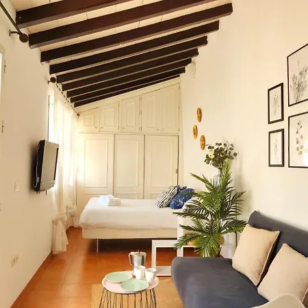 Апартаменты Stunning Attic With Private Terrace And Parking Optional Севилья